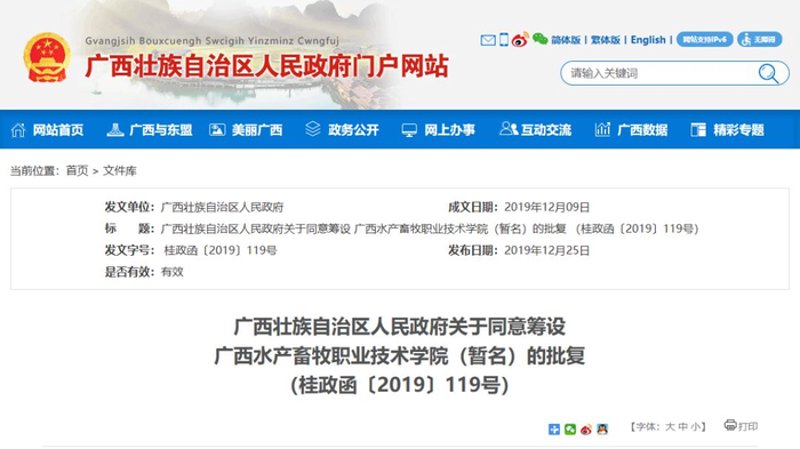 广西网站建设